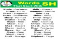 What are adjectives that start with Sh?