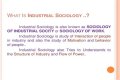 What is the importance of industrial sociology?